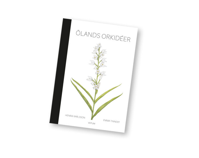 Bok | Ölands orkidéer